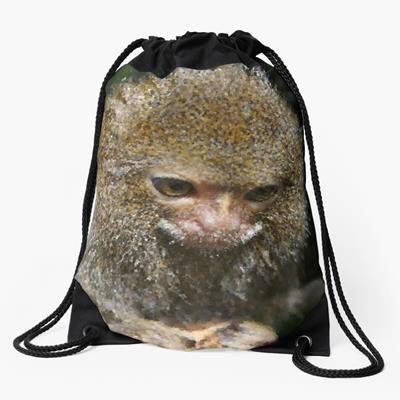 Adorable Curious Monkey