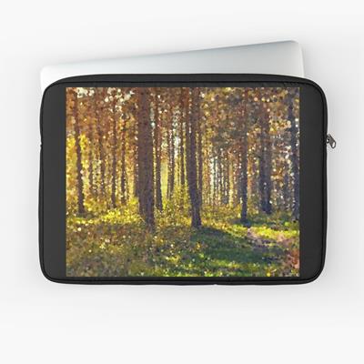 Autumn Forest Path