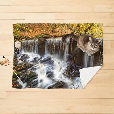 Autumn Forest and Stream