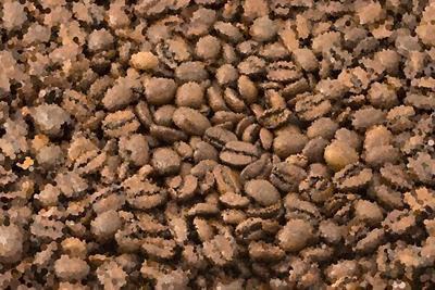 Big Pile of Coffee Beans