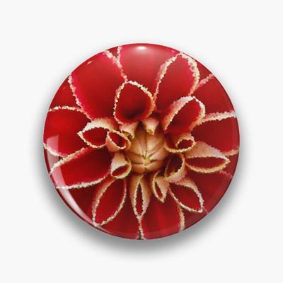 Big Red Dahlia