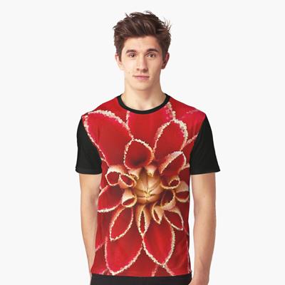 Big Red Dahlia