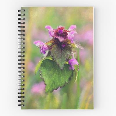 Blooming Wildflower