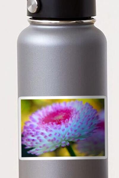 Blue and Purple Flower