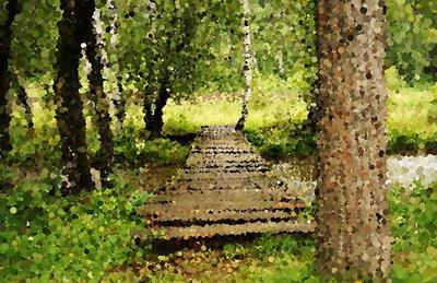 Bridge Through The Woods