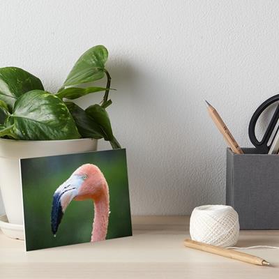 Bubbly Pink Flamingo