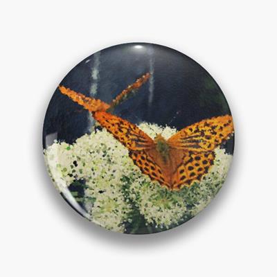 Butterflies on White Flowers