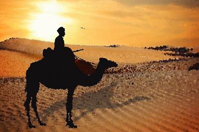 Camel Rider in the Desert