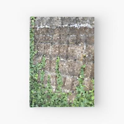 Climbing Plant on Stone Wall
