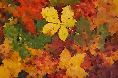 Crunchy Autumn Leaves