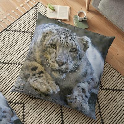 Curious Snow Leopard