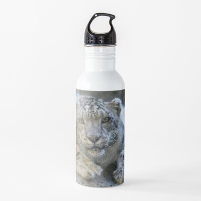 Curious Snow Leopard