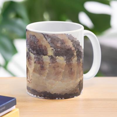 Cute Tortoise Walking