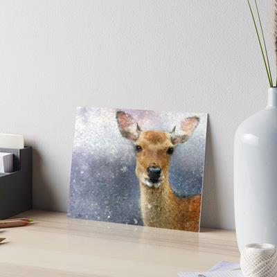 Deer Portrait in Snow