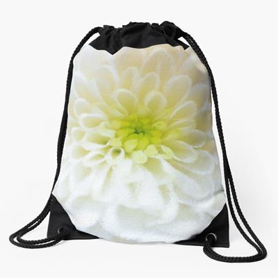 Delicate White Flower