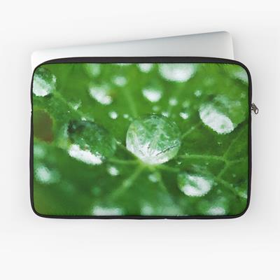 Dew on Green Leaves