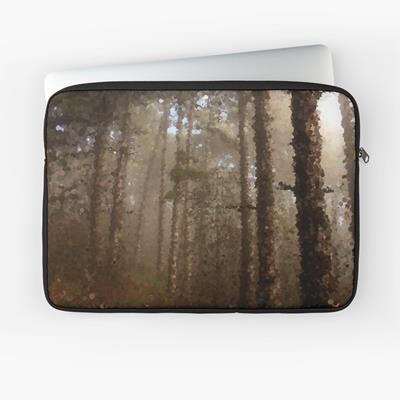 Foggy Evergreen Forest