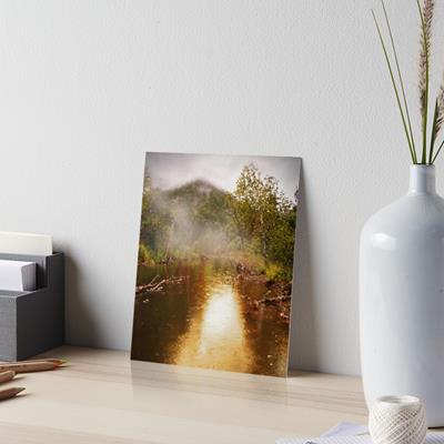 Foggy Forest Pond