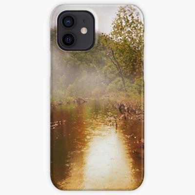 Foggy Forest Pond