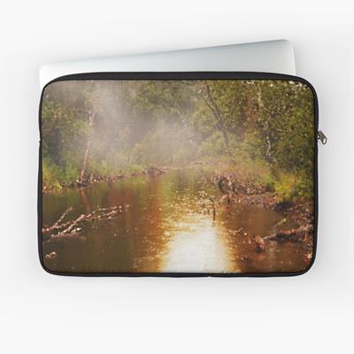 Foggy Forest Pond