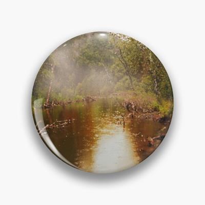 Foggy Forest Pond