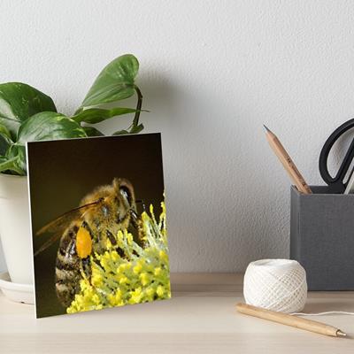 Happy Honey Bee
