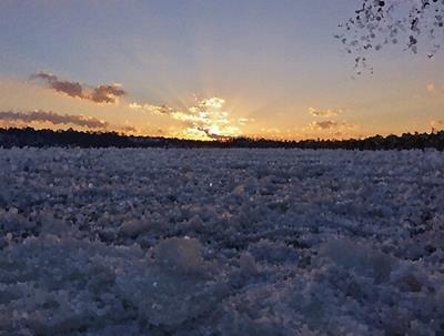 Ice Field at Sunset
