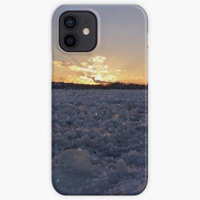 Ice Field at Sunset