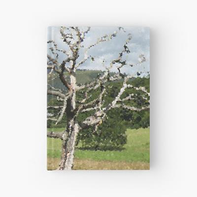Lone Dead Tree