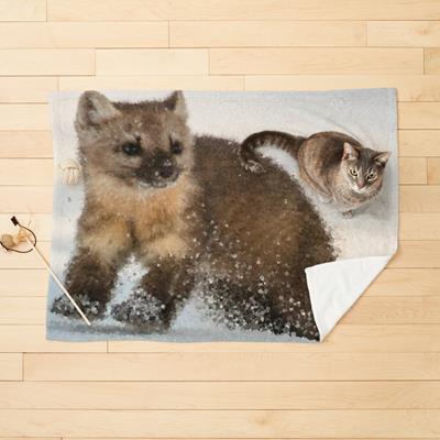 Marten Romping in the Snow