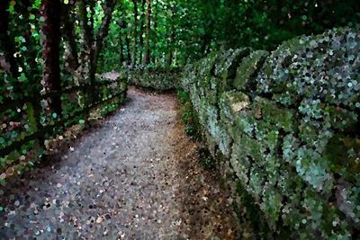 Mossy Stone Fenced Path Through the Woods