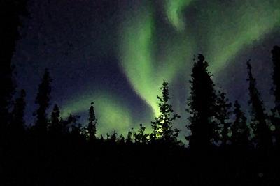 Northern Lights Over Forest