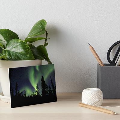 Northern Lights Over Forest