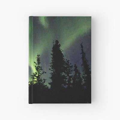 Northern Lights Over Forest