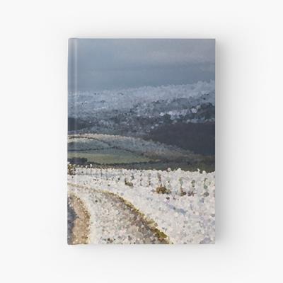 Path Through Snow