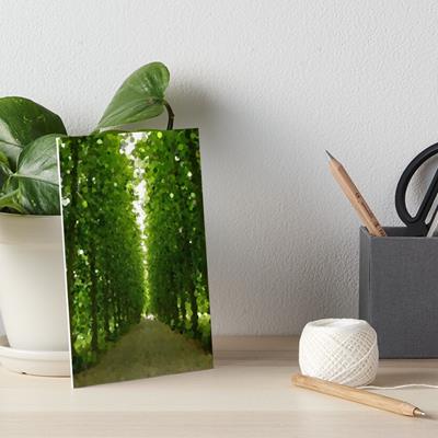 Peaceful Forest Path