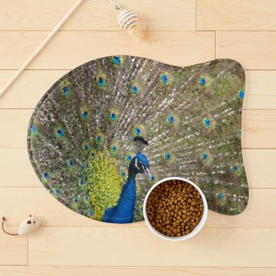 Peacock Plumiage