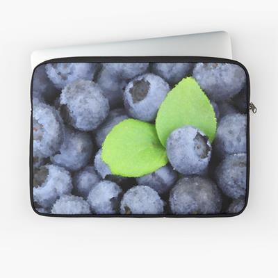 Perfect Plump Blueberries