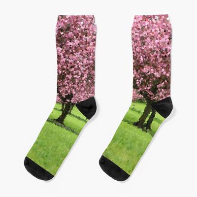 Pink Blossoming Trees Over Green Field