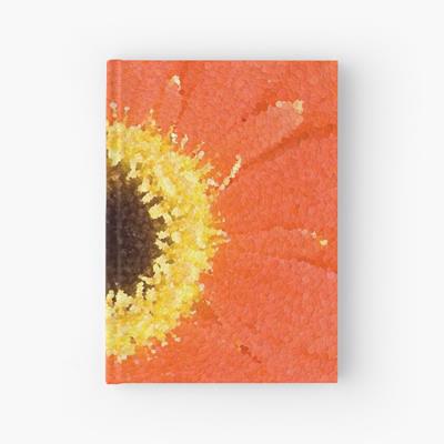 Pretty Pink and Yellow Flower