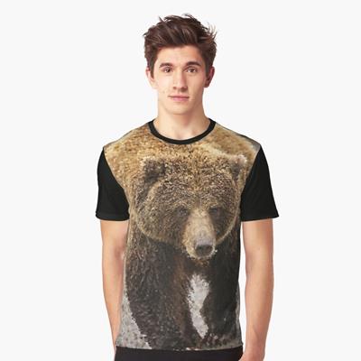 Probably Friendly Bear