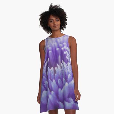 Purple Dahlia