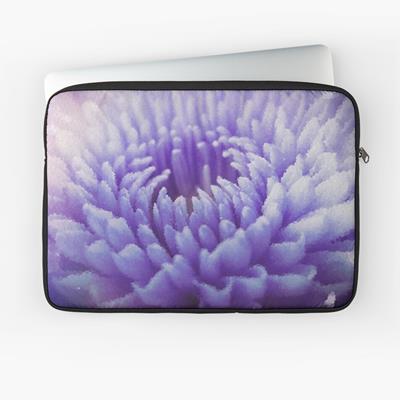 Purple Dahlia