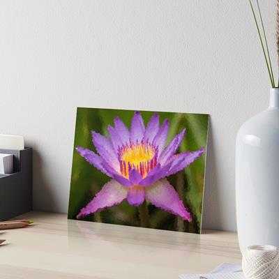 Purple Flower Blooming