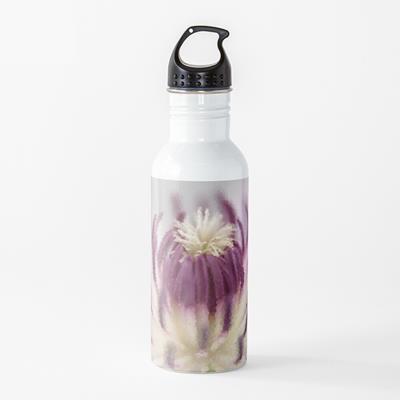 Purple and White Clematis