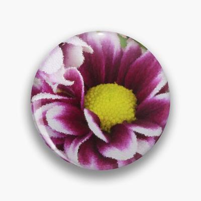 Purple and White Flower