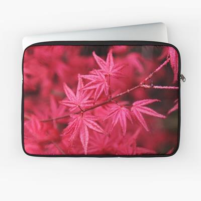 Red Leaves