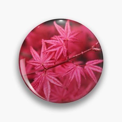 Red Leaves