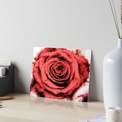 Red Rose in Hand