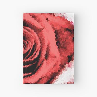 Red Rose in Hand